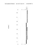 FUSION PARTNERS FOR PEPTIDE PRODUCTION diagram and image