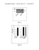 REGULATION OF SODIUM CHANNELS BY PLUNC PROTEINS diagram and image