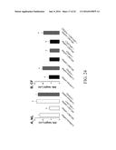 REGULATION OF SODIUM CHANNELS BY PLUNC PROTEINS diagram and image