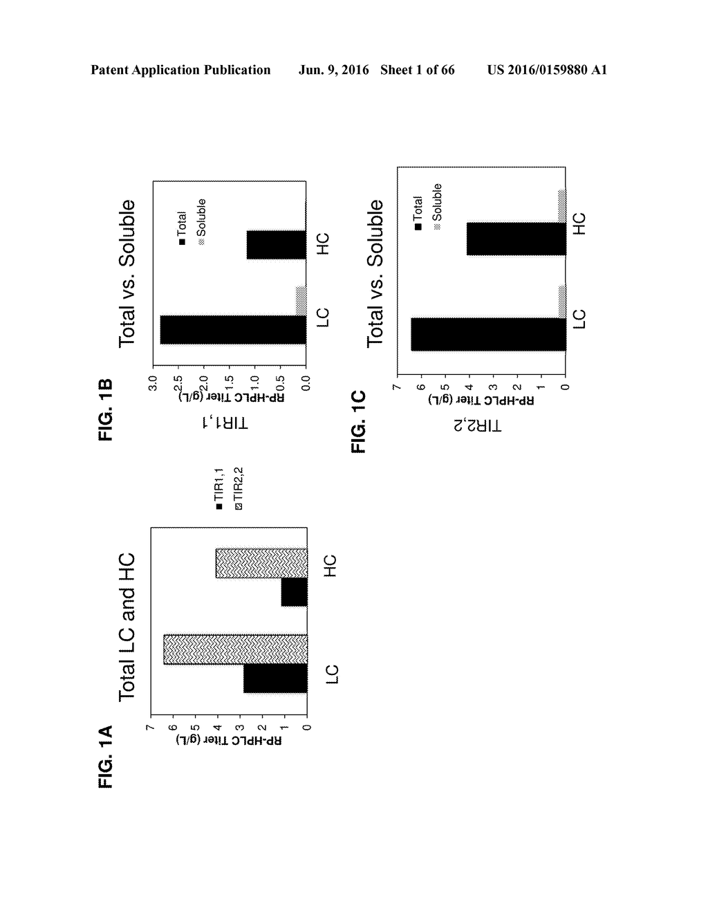 METHODS OF PRODUCING TWO CHAIN PROTEINS IN BACTERIA - diagram, schematic, and image 02