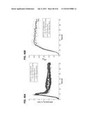 METHODS OF PRODUCING TWO CHAIN PROTEINS IN BACTERIA diagram and image