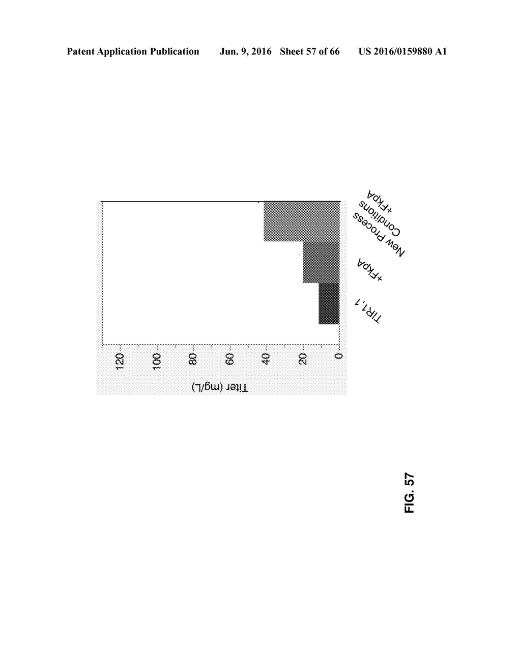 METHODS OF PRODUCING TWO CHAIN PROTEINS IN BACTERIA - diagram, schematic, and image 58