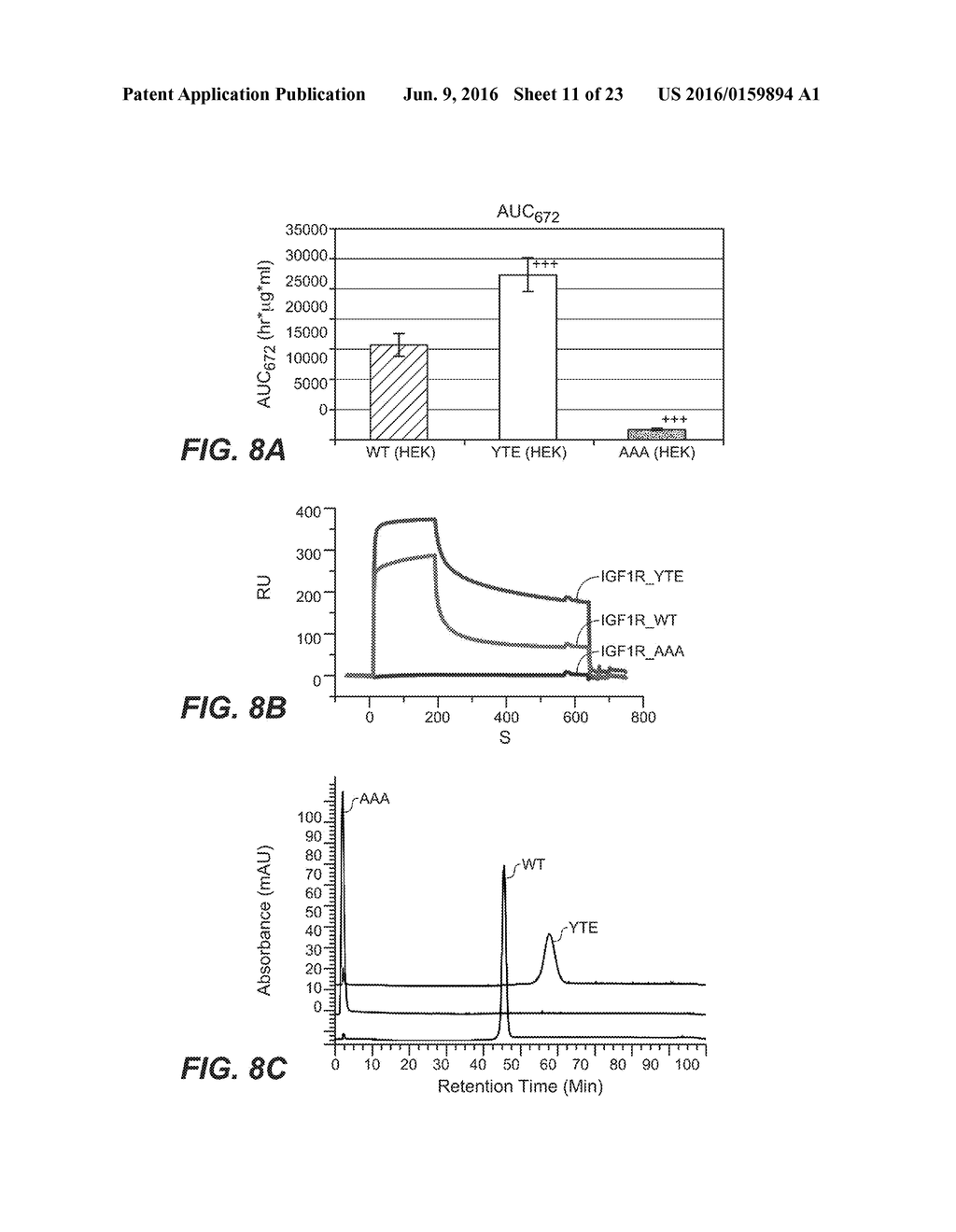 HUMAN FCRN-BINDING MODIFIED ANTIBODIES AND METHODS OF USE - diagram, schematic, and image 12