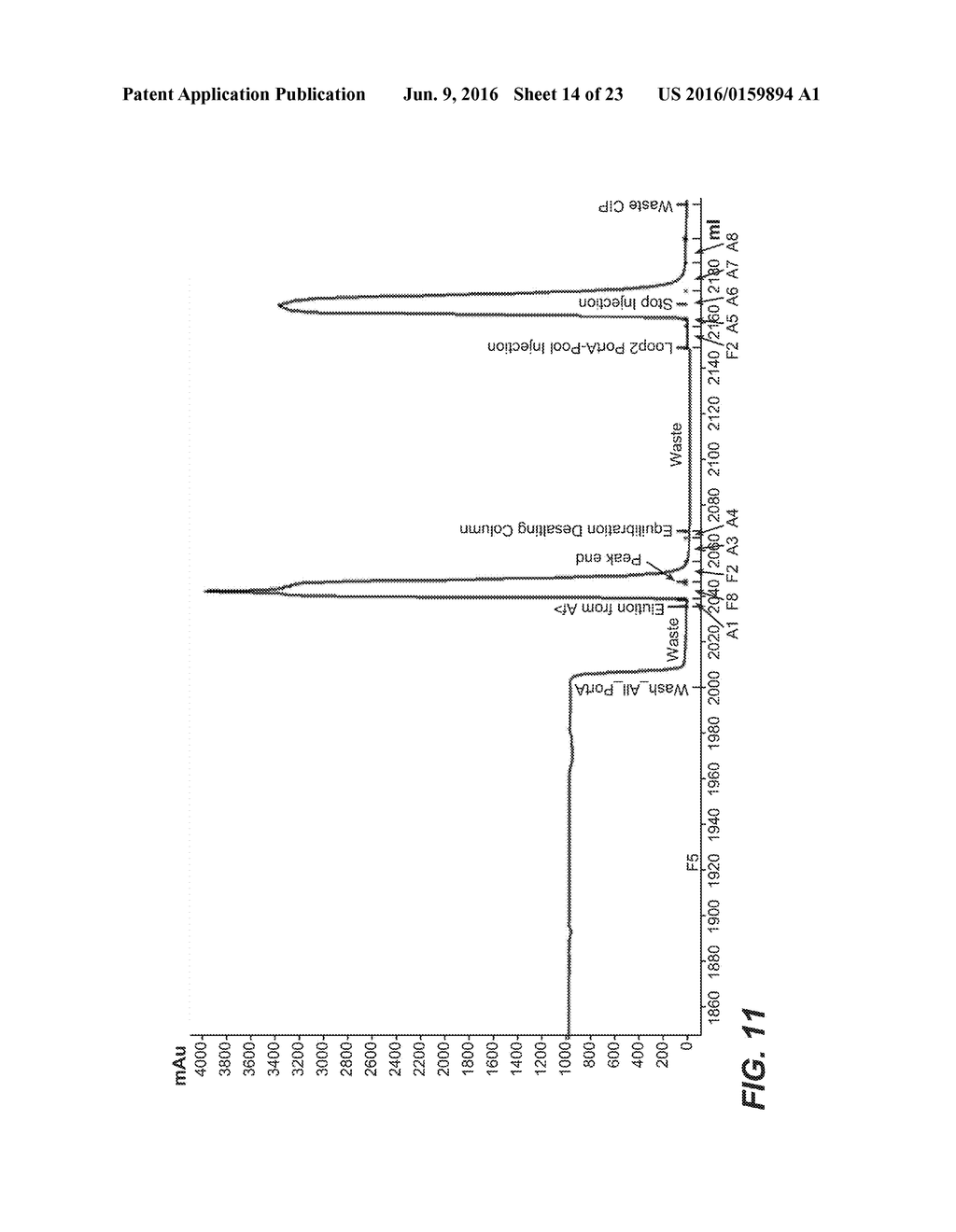 HUMAN FCRN-BINDING MODIFIED ANTIBODIES AND METHODS OF USE - diagram, schematic, and image 15