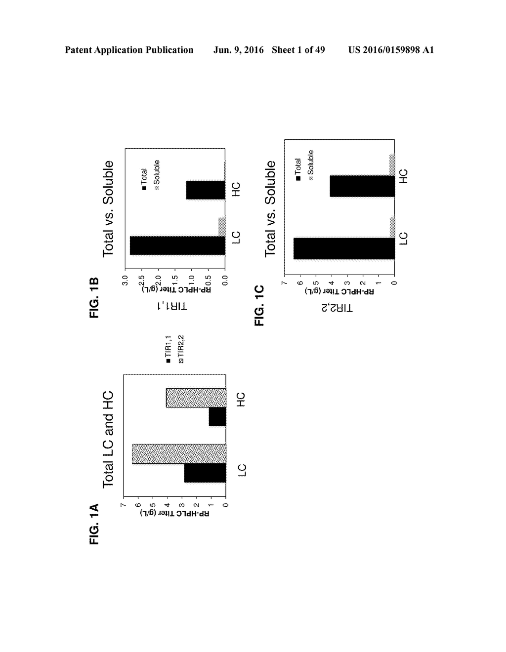 METHODS OF PRODUCING TWO CHAIN PROTEINS IN BACTERIA - diagram, schematic, and image 02