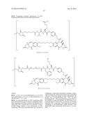 ANTI-B7-H4 ANTIBODIES AND IMMUNOCONJUGATES diagram and image