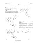 ANTI-B7-H4 ANTIBODIES AND IMMUNOCONJUGATES diagram and image