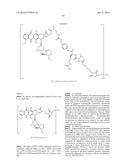 ANTI-B7-H4 ANTIBODIES AND IMMUNOCONJUGATES diagram and image