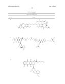 ANTI-B7-H4 ANTIBODIES AND IMMUNOCONJUGATES diagram and image