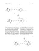 ANTI-B7-H4 ANTIBODIES AND IMMUNOCONJUGATES diagram and image