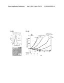 ANTI-B7-H4 ANTIBODIES AND IMMUNOCONJUGATES diagram and image