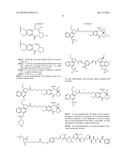 ANTI-B7-H4 ANTIBODIES AND IMMUNOCONJUGATES diagram and image