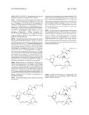 ANTI-B7-H4 ANTIBODIES AND IMMUNOCONJUGATES diagram and image