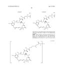 ANTI-B7-H4 ANTIBODIES AND IMMUNOCONJUGATES diagram and image