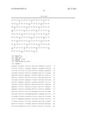 Anitbodies That Bind Urokinase Plasminogen Activator diagram and image