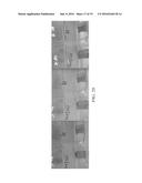 FRACTURING FLUID FOR PREVENTION OF SHALE FRACTURE HYDRATION DURING WELL     STIMULATION BY HYDRAULIC FRACTURING diagram and image