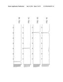 Fusion Polymerase and Method for Using the Same diagram and image