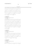 Fusion Polymerase and Method for Using the Same diagram and image