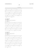 Fusion Polymerase and Method for Using the Same diagram and image