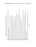 Fusion Polymerase and Method for Using the Same diagram and image