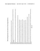 Fusion Polymerase and Method for Using the Same diagram and image