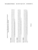 Fusion Polymerase and Method for Using the Same diagram and image