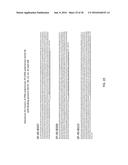 Fusion Polymerase and Method for Using the Same diagram and image