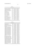 Fusion Polymerase and Method for Using the Same diagram and image