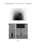 PROBIOTIC BACTERIA COMPRISING METALS, METAL NANOPARTICLES AND USES THEREOF diagram and image