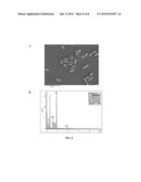 PROBIOTIC BACTERIA COMPRISING METALS, METAL NANOPARTICLES AND USES THEREOF diagram and image