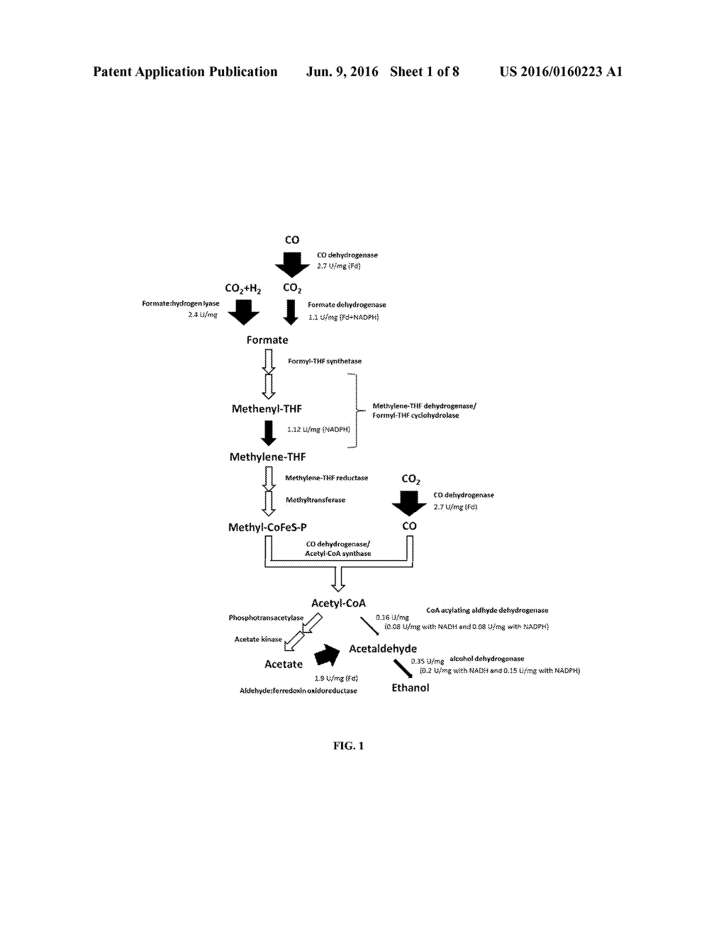 RECOMBINANT MICROORGANISMS EXHIBITING INCREASED FLUX THROUGH A     FERMENTATION PATHWAY - diagram, schematic, and image 02