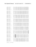 ALS INHIBITOR HERBICIDE TOLERANT MUTANT PLANTS diagram and image