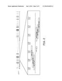 HETEROZYGOUS MODIFICATIONS OF TUMOR SUPPRESSOR GENES diagram and image