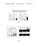 Modified algae strain and method of triacylglycerol accumulation using     said strain diagram and image