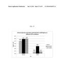 POLYMERS IN BIOMASS SACCHARIFICATION BIOPROCESS diagram and image