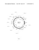 DITERPENE PRODUCTION IN YARROWIA diagram and image