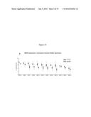 PERSONALIZED PROTEASE ASSAY TO MEASURE PROTEASE ACTIVITY IN NEOPLASMS diagram and image