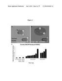PERSONALIZED PROTEASE ASSAY TO MEASURE PROTEASE ACTIVITY IN NEOPLASMS diagram and image
