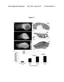 PERSONALIZED PROTEASE ASSAY TO MEASURE PROTEASE ACTIVITY IN NEOPLASMS diagram and image