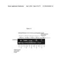 PERSONALIZED PROTEASE ASSAY TO MEASURE PROTEASE ACTIVITY IN NEOPLASMS diagram and image