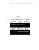 PERSONALIZED PROTEASE ASSAY TO MEASURE PROTEASE ACTIVITY IN NEOPLASMS diagram and image