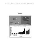 PERSONALIZED PROTEASE ASSAY TO MEASURE PROTEASE ACTIVITY IN NEOPLASMS diagram and image