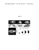 PERSONALIZED PROTEASE ASSAY TO MEASURE PROTEASE ACTIVITY IN NEOPLASMS diagram and image