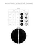 SILICON SINGLE CRYSTAL INGOT AND WAFER FOR SEMICONDUCTOR diagram and image