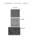 METHODS AND APPARATUS FOR THE MANIPULATION OF PARTICLE SUSPENSIONS AND     TESTING THEREOF diagram and image