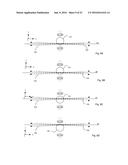 Multiview Light-Sheet Microscopy diagram and image