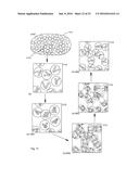 Multiview Light-Sheet Microscopy diagram and image