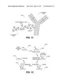 METAL-ANTIBODY TAGGING AND PLASMA-BASED DETECTION diagram and image