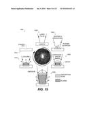 METAL-ANTIBODY TAGGING AND PLASMA-BASED DETECTION diagram and image