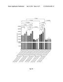 METHOD OF DISTINGUISHING MESENCHYMAL STEM CELLS diagram and image